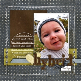 hybridbabyweb.jpg