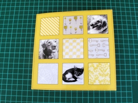 hybridcard_klaudia_psiny_01_small.jpg