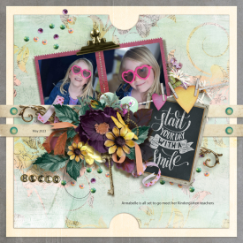 iNSD-2023-Template-Challenge-with-TNP.jpg