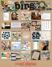 iNSD2016_Bingo-my-try-for-gallery.jpg