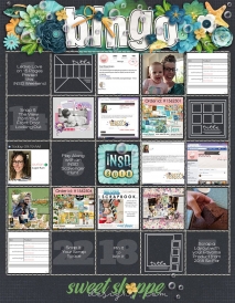 iNSD2018_bingo2.jpg