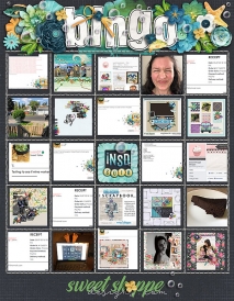 iNSD2018_bingo_1_.jpg
