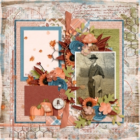 img974rr-IntoAutumn_td-AutumnFalling2_web.jpg