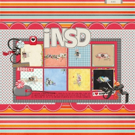 insd.jpg
