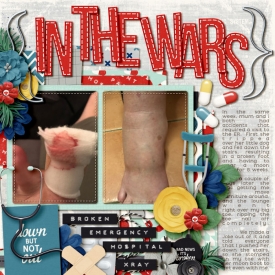inthewars700.jpg