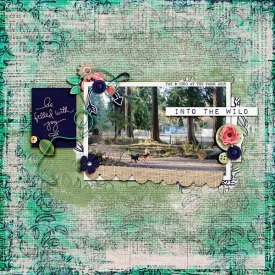 intothewild-copy.jpg