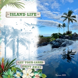 island-life-kauai-take-2.jpg