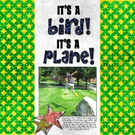 its-a-bird-web.jpg