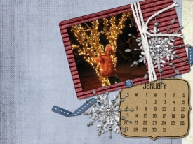 jan08.jpg
