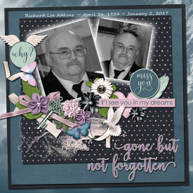 jcd-gonebutnotforgotten.jpg