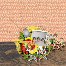 jcd-tnp-BREKKIEINBED-bundle-LEA.jpg