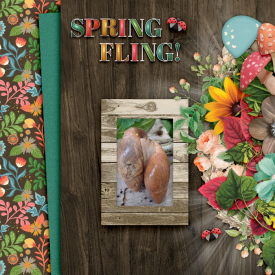 joceedesigns-welcomespring-.jpg