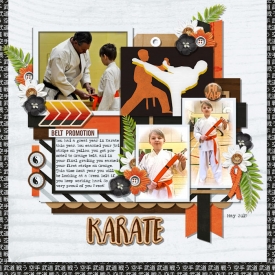 karate.jpg