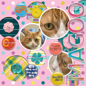 kbc-brandnewday-paper1-W.png