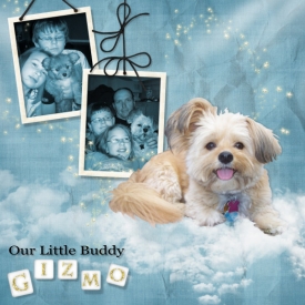 kbk_littlebuddy_Gizmo.jpg