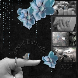 kbk_social_butterfly.jpg