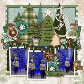 kcroninbarrow-amd-peaceandjoy-tree6_Custom_.jpg