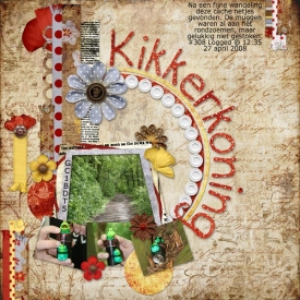 kikkerkoning-web.jpg