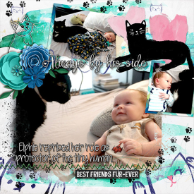 kitty-protector-f.jpg