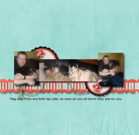 lap_cats.jpeg