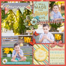 lemonadestand2017web1.jpg
