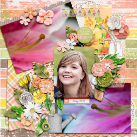 letyourdreamsblossom-copy.jpg