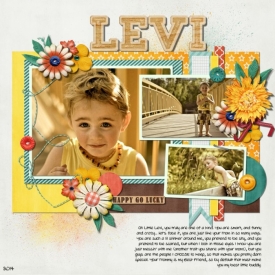 levi1.jpg