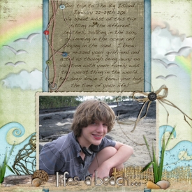 lifesabeach-web.jpg