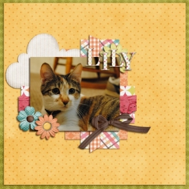 lily6.jpg