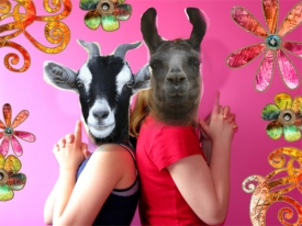 llamagoat-love.jpg