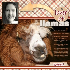llamas_bmp.jpg