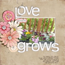 loveflowerweb.jpg