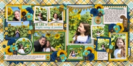 macie-in-sunflowers.jpg