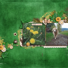 makingmemories-copy.jpg
