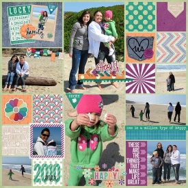 mar2010-beach-w.jpg