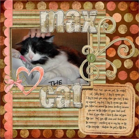 max-the-cat.jpg