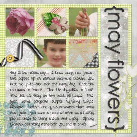 may-flowers-right-web.jpg