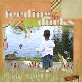 mcolosimo_steppindown_feedingducks1_copy.jpg