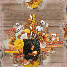 mcreations-happyharvest-klein.jpg