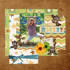 megmonkeybars_web.jpg