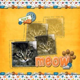 meow-for-web.jpg