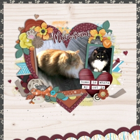 meowsome1.jpg
