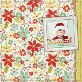 merry_ahg121411_150kb.jpg