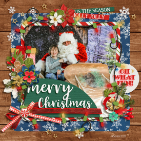 merry_bright2020web.jpg