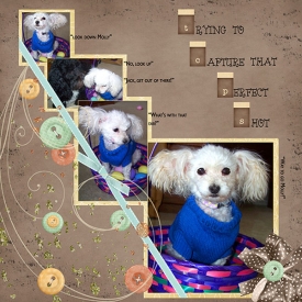 mollylayout2-websize.jpg
