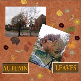 moreautumn.jpeg