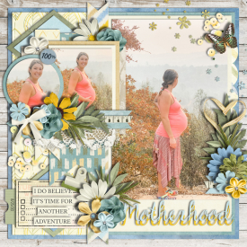 motherhood2020web.jpg