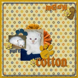 mr-cotton.jpg