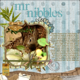 mrnibbles.jpg