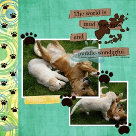 muddy_dogs.jpg